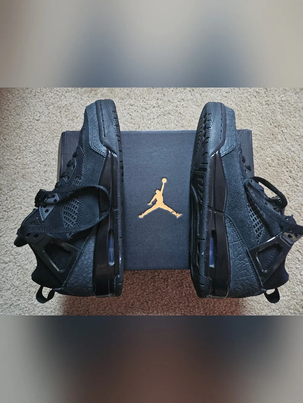NWOT Jordan Spizike Shoes